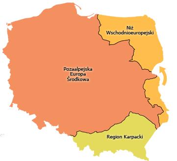 Zgodnie z podziałem