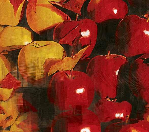 insektycyd Teraz także do ochrony śliw przed przędziorkami i pordzewiaczami Envidor 240 SC jest akarycydem należącym do grupy chemicznej kwasów tetronowych.