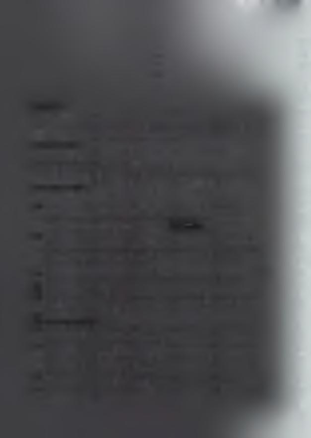 SCENA Scena powinna być zadaszona i posiadać tylną oraz boczne kurtyny chroniące przed deszczem. Potrzebny jest stabilny podest pod perkusję o wymiarach 3m x 3m x 0,5m (szer. x gł. x wys.