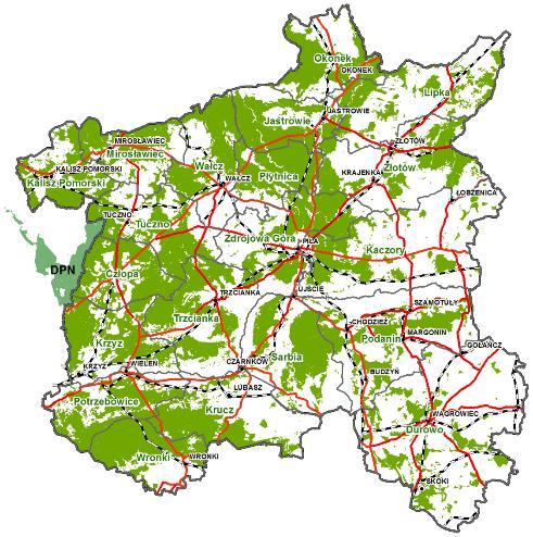 Średnia lesistość na terenie RDLP w Pile wynosi 42,4%.
