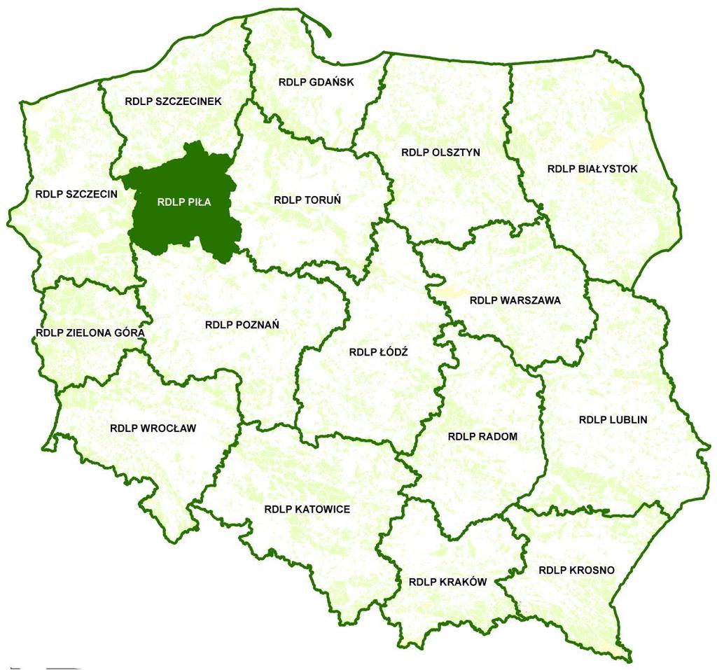 Regionalna Dyrekcja Lasów Państwowych w Pile