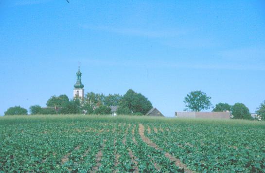 błędy planowania