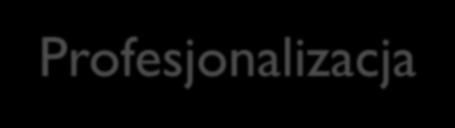 Profesjonalizacja Lp Nazwisko Dyscyplina sportu Dochód 1. David Beckham Piłkarz nożny 32,8 M 2. Kimi Räikkönen Kierowca rajdowy 31,3 M 3. Ronaldhino Piłkarz nożny 25,5 M 4.