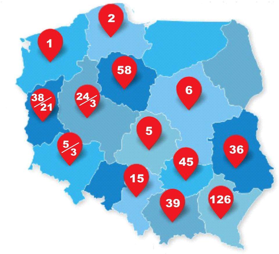 Podstawowe informacje Liczba sklepów franczyzowych/własnych sieci Słoneczko w poszczególnych