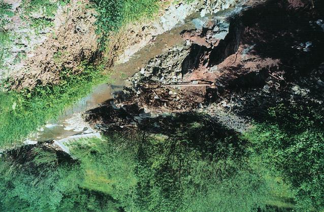 Leszek Starkel Fot. 6. Osuwisko w Bielance (powierzchnia poślizgu poniżej poziomu koryta potoku) aktywne i podcięte w czerwcu 2010 r. Phot. 6. Active landslide in Bielanka, undercut in June 2010.