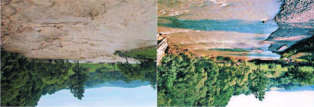 września 1995 r. (fot. Z. Śnieszko) Phot. 1. Deposition of suspended load on the floor of Kalinka valley near Miechow after passing of flood wave at 15 September 1995 (photo Z. Snieszko) 1997 r. (ryc.
