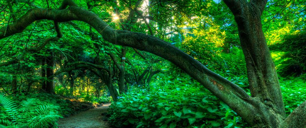 Publikacja jest inspiracją na temat obróbki cyfrowej zdjęć w technice HDR z użyciem Photomatix Pro.
