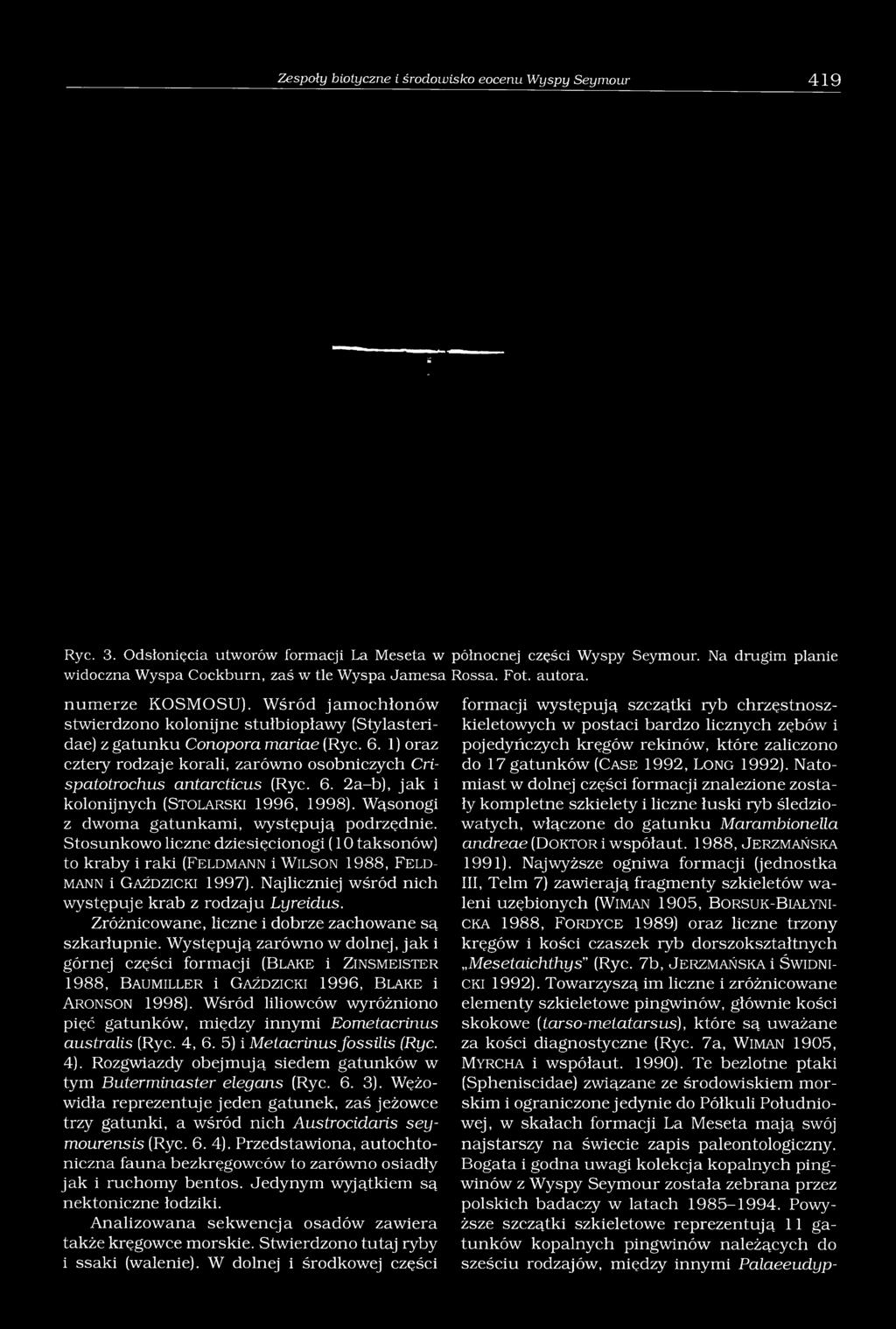 Wśród jamochłonów stwierdzono kolonijne stułbiopławy (Stylasteridae) z gatunku Conopora mariae (Ryc. 6. 1) oraz cztery rodzaje korali, zarówno osobniczych Crispatotrochus antarcticus (Ryc. 6. 2a-b), jak i kolonijnych (St o l a r s k i 1996, 1998).