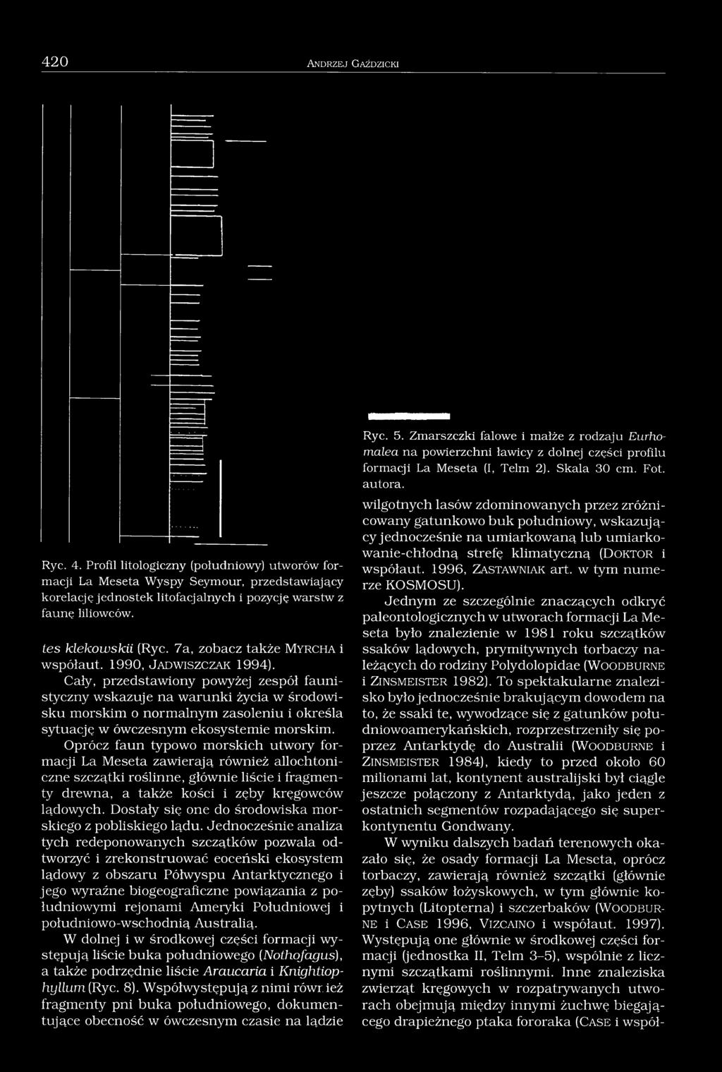 7a, zobacz także M y r c h a i współaut. 1990, J a d w is z c z a k 1994).
