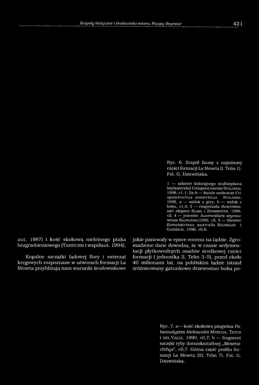 1; 2 a - b k o r a le o s o b n ic z e Crispatotrochus antarcticus S t o l a r s k i, 19 9 6, a w id o k z g ó r y, b w id o k z b o k u, x l, 5 ; 3 r o z g w ia z d a