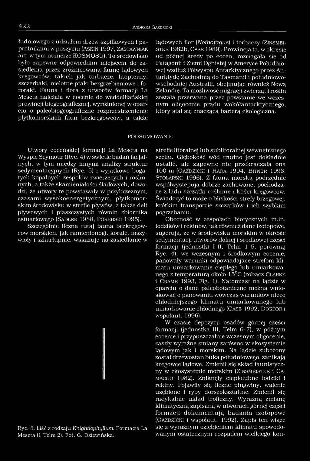 Fauna i flora z utworów formacji La Mes eta należała w e ocenie do weddelliańskiej prowincji biogeograficznej, wyróżnionej w oparciu o paleobiogeograficzne rozprzestrzenienie płytkomorskich faun