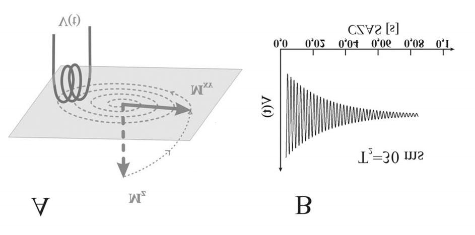 Obrazowanie metodą rezonansu magnetycznego 257 (w.cz.), o częstotliwości rezonansowej L,powoduje obrót wektora M o kąt proporcjonalny do czasu działania impulsu i wartości składowej magnetycznej pola w.