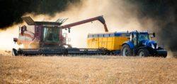 .pl https://www..pl Produkcja pszenicy konsumpcyjnej może sięgnąć 8,0 mln t w 2017r. W tym sezonie problemem może być jakość ziarna, szczególnie w północnej części Polski prognozuje M.