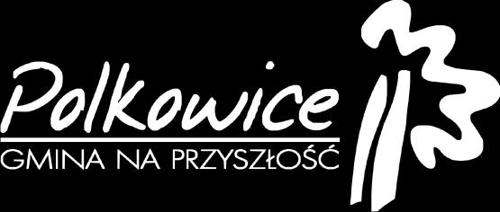 Załącznik do Uchwały Nr XIII/221/16
