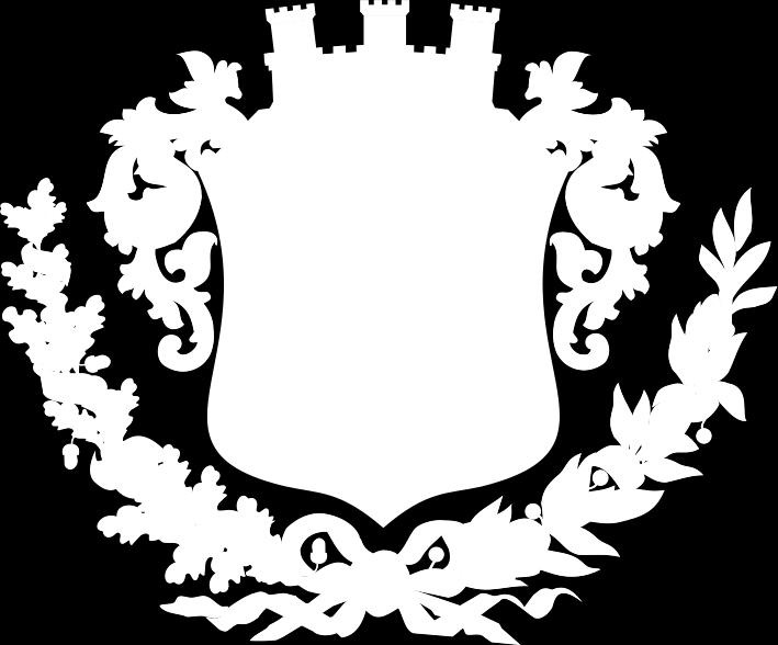 POLKOWICE NA LATA 2015-2020 POLKOWICE,