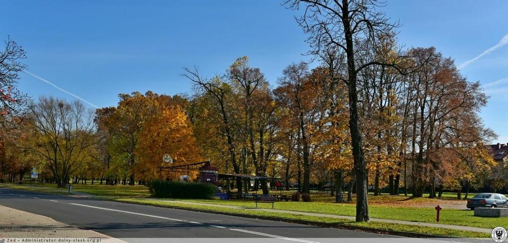 Rysunek 12. Park przy ul. H. Dąbrowskiego Źródło: www.dolny-slask.