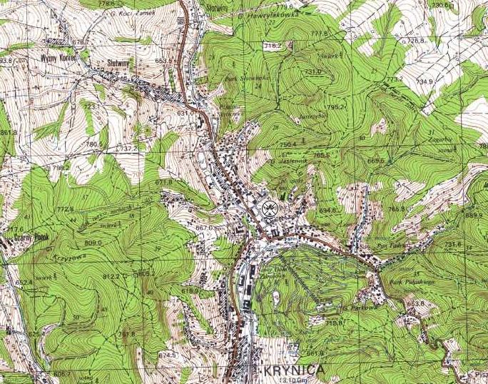 ZAŁ. 1 lokalizacja terenu badań KRYNICA ZDRÓJ UL.
