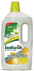 250 g Ludwik płyn do mycia