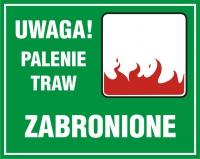 palić ognisko i grillować