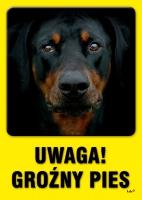 UWAGA!
