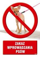 ZNAKI REALISTYCZNE