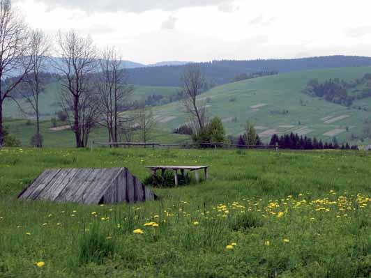 38 Neodmysliteľnou súčasťou goralských usadlostí boli i studne. Novoť. 2013. Kamenná pivnica umiestnená pod dreveným zrubom slúžila na odkladanie hospodárskych produktov a náradia. Novoť. 2013. 39 zrubová hospodárska budova a okolo nich, ako inak, drevený latový plot a studňa.