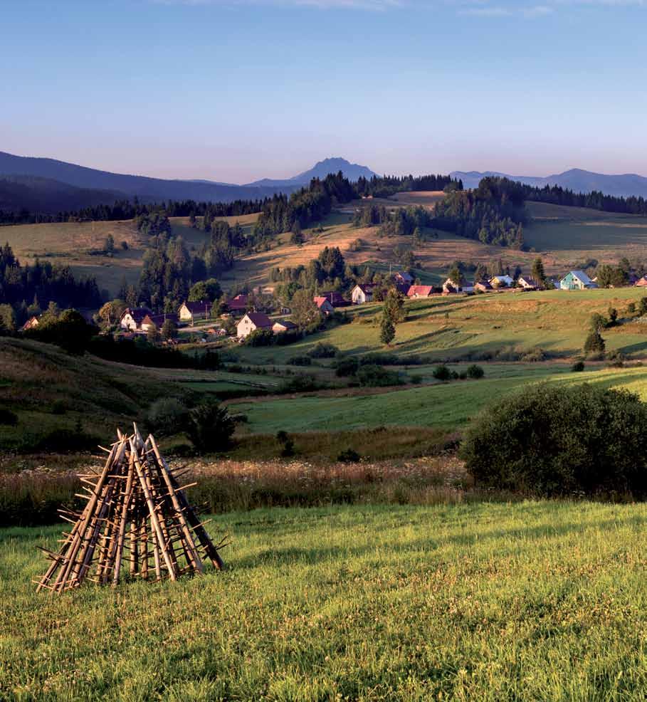44 ORAVSKÁ LESNÁ 45 Interiéri goralských dreveníc. Novoť a Sihelné. 1. polovica 20. storočia.