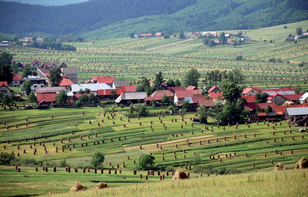 48 Klimatické podmienky hornej Oravy sa výrazne líšia od podnebia ostatného Slovenska. Hlavnými podnebnými črtami sú chladné letá a studené zimy.