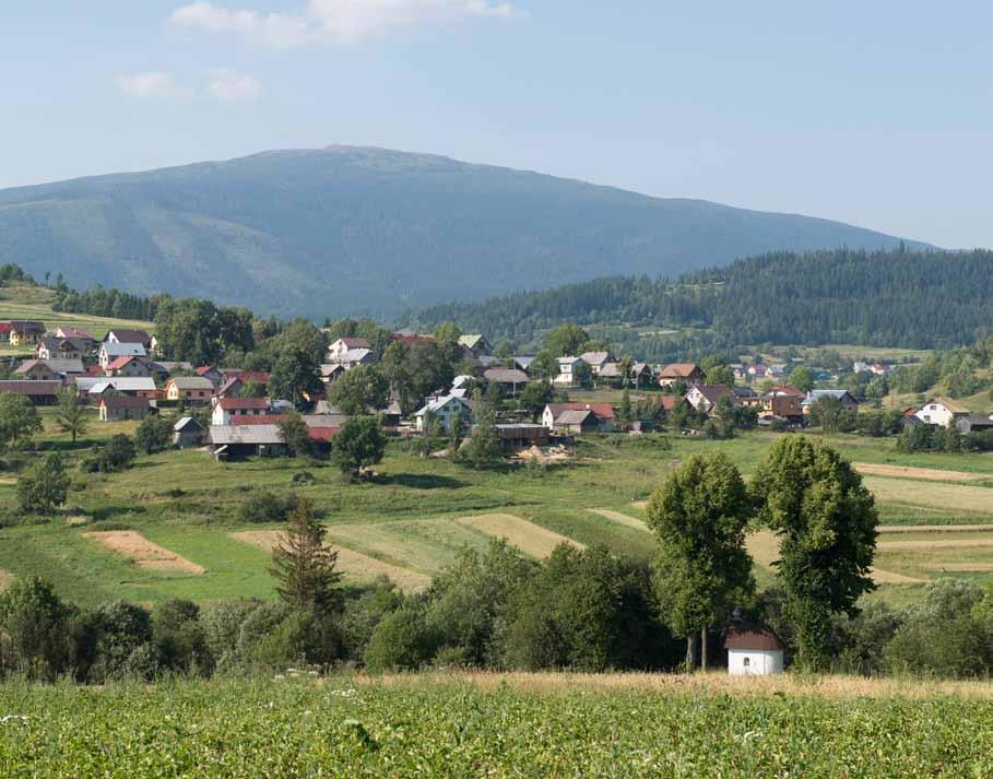 52 Ukladanie sena na vôstrvie. Novoť. 1. polovica 20. storočia.