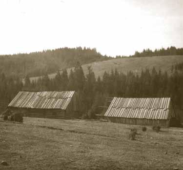 56 Pastier pri pasení oviec. Oravská Polhora. 2. polovica 20. storočia. Chov hospodárskych zvierat v individuálnej forme v goralských obciach pretrváva do súčasnosti.