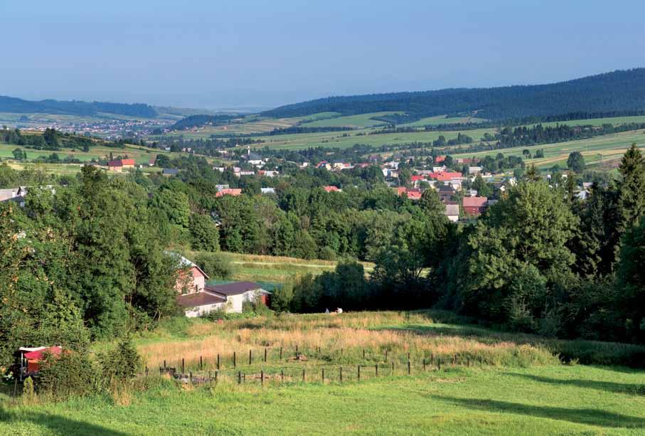 64 Zelenina a ovocie Zemiaky zohrali aj v tejto oblasti významnú úlohu pri utváraní charakteru a obsahu kuchyne.