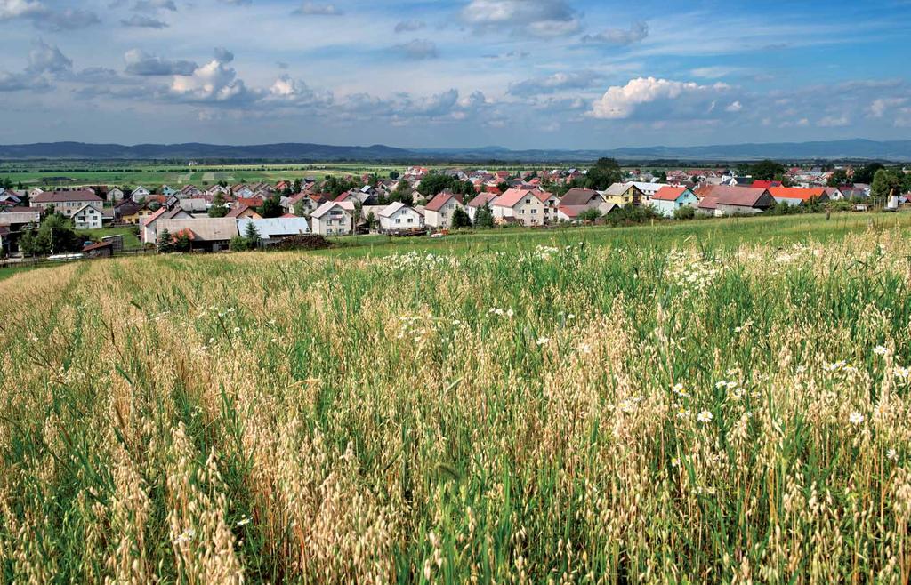 66 SUCHÁ HORA 67 Zo strukovín (hrach, bôb) pripravovali polievky a kaše. Strukoviny pri dobrom uskladnení vydržali aj dlhšie časové obdobie.