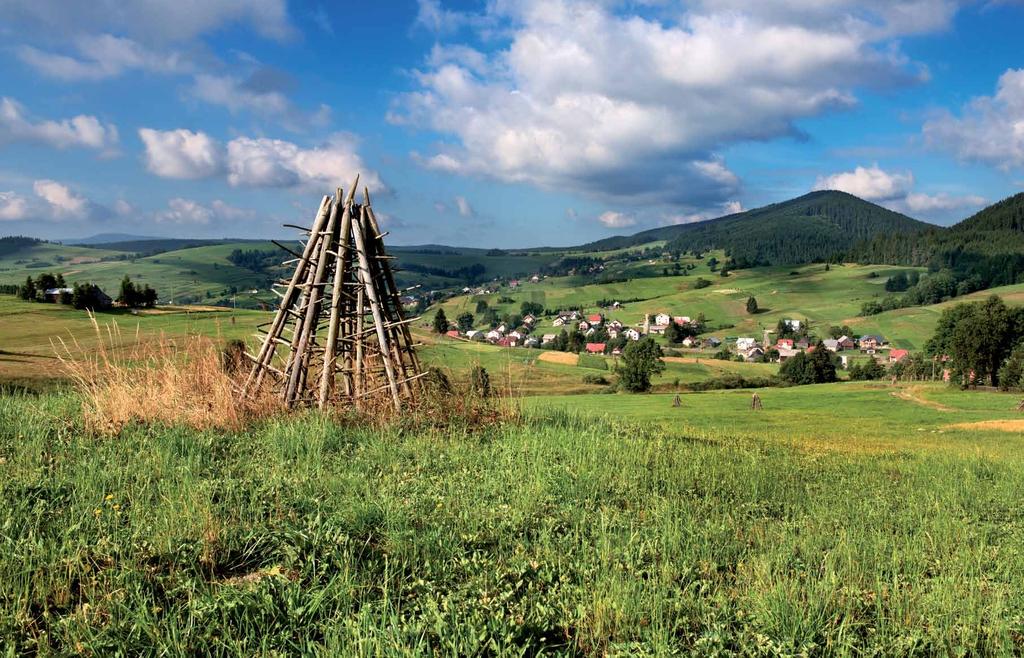 80 NOVOŤ Elena Beňušová ZVYKY