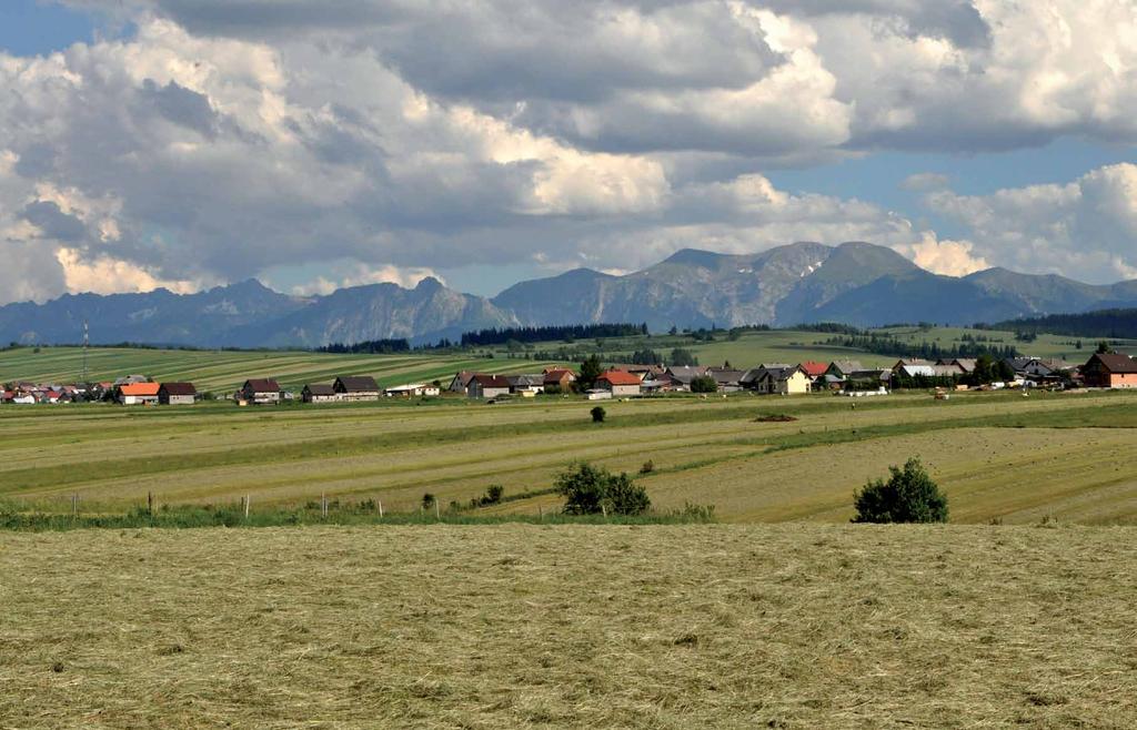 88 Stavanie mája, Oravská Lesná, 2012. 89 konárov a stromov, ktoré boli obradovým a magickým prostriedkom, sa ľudia snažili zabezpečiť potrebnú vlahu a zároveň preniesť ich vlastnosti na polia a lúky.
