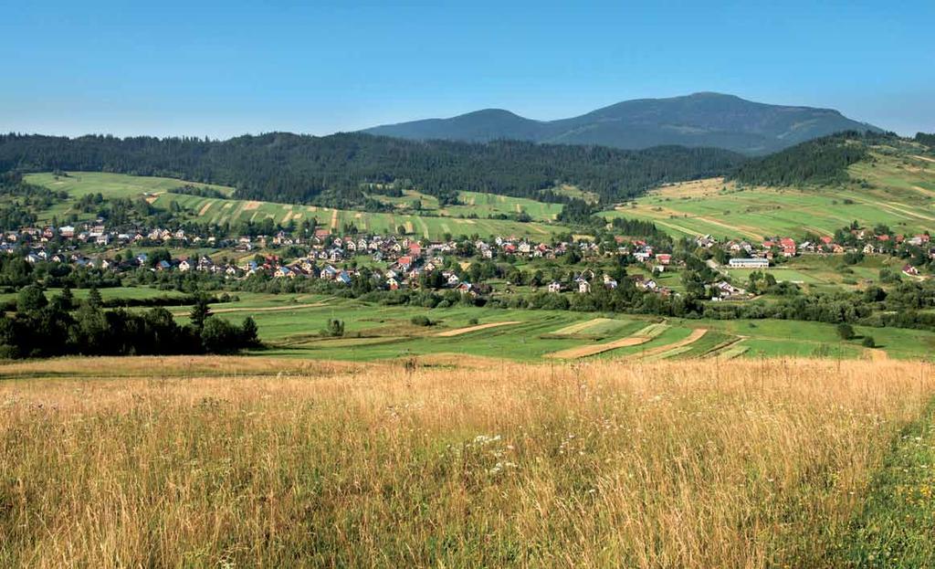 124 ORAVSKÁ POLHORA 125 testinou. Tá ju vítala na prahu domu s horiacimi sviečkami a chlebom, tesť s fľašou pálenky.