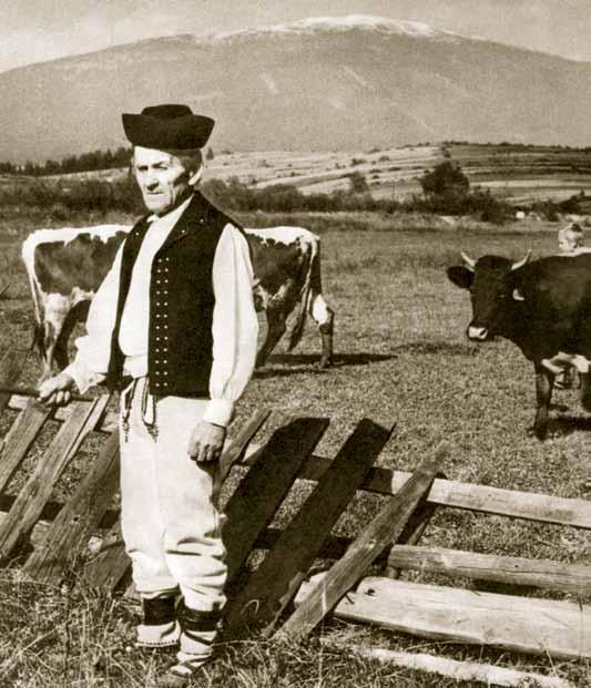 Šatky menších rozmerov nosili na hlavách malé dievčatá, dievky aj ženy. Ešte koncom 19. storočia sa ženy chránili pred dažďom a zimou štvorcový kusom plátna obrusom, ktorý nosili prehodený cez plecia.