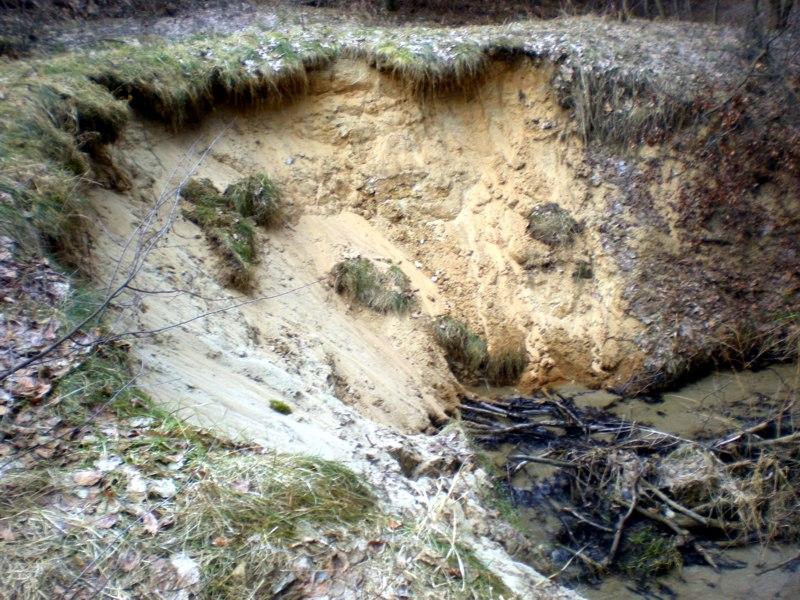 Źródło: opracowanie własne na podstawie badań terenowych stawów bobrowych, które funkcjonowały w rożnych przedziałach czasowych.