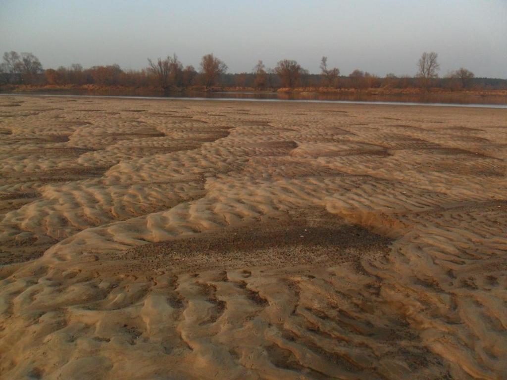Fot. 4. Warstwa żwiru na łasze językowej położonej na 764,5 km Wisły (fot. 20.11.2012 r.). Na tej samej mezoformie korytowej doszło do wyrównania powierzchni języka (fot.
