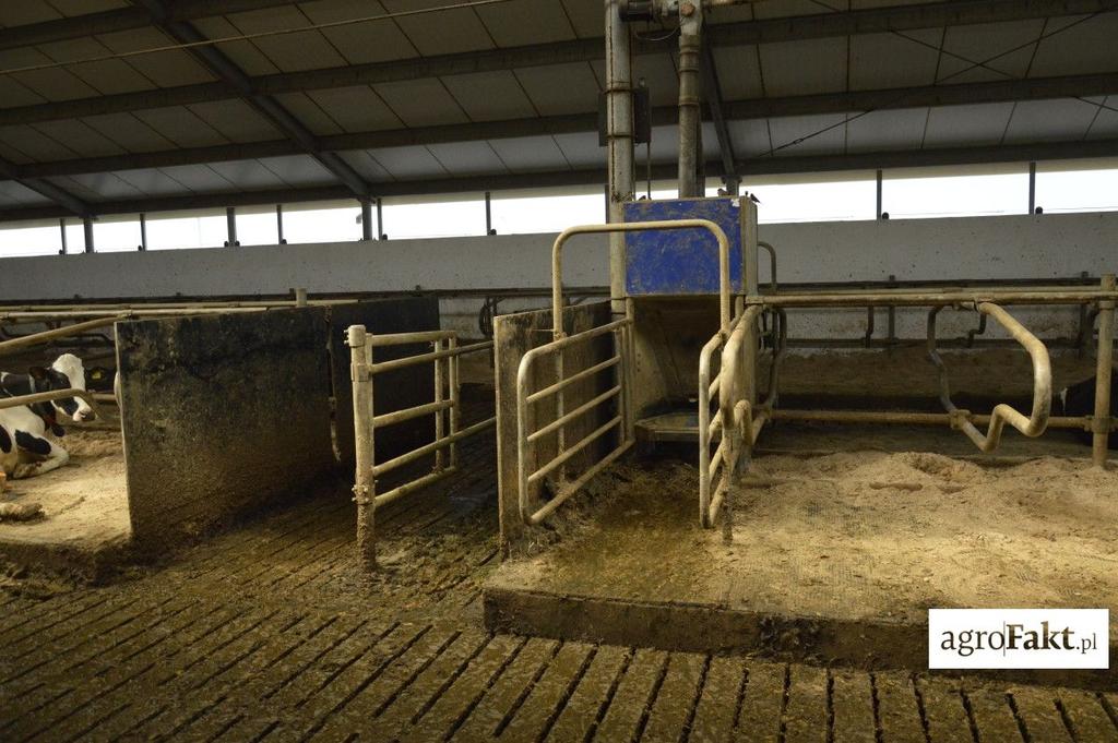 .pl Na oborę dla 100 krów nowa stacja paszowa będzie kosztowała 55 tysięcy, a używana około 30-35 tysięcy Cena Ceny są bardzo różne, a zależą w głównej mierze od wyposażenia stacji paszowej w