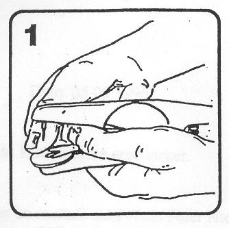 16 Kolczyk/Transponder 16.