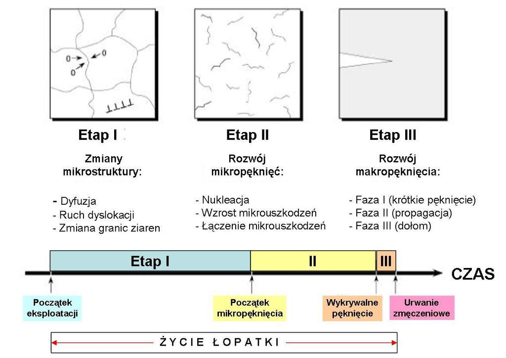Wnioski z zadania 1-3 Metodami magnetycznymi możliwe jest diagnozowanie I i II etapu zmęczenia materiału Dyslokacje (1D defekty sieci krystalicznej) są źródłem naprężeń III rodzaju, III Tabela: