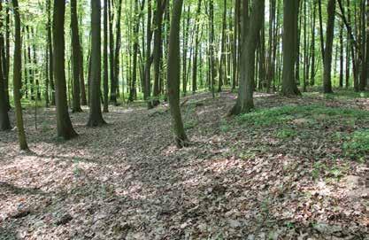 Zachodnie obrzeżenie obiektu tworzy naturalne zbocze, osiągające wysokość około 4 m.