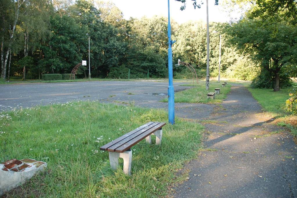 11. Montaż stojaków rowerowych SR 3 szt. 12. Usunięcie niebieskiego słupa stalowego MN2, o wys. ok. 5 m 13. Pielęgnacja drzewostanu SEKTOR X 1. Ławki Ł1 malowanie 12 szt. 2.