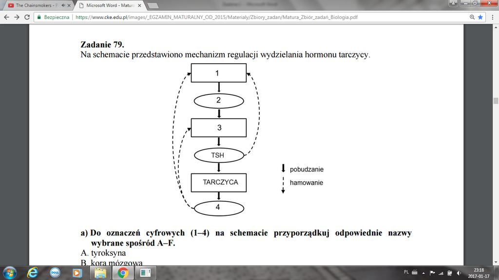 33........ Źródło: Egzamin maturalny z biologii, stara podstawa programowa. Poziom rozszerzony, maj 2017. Zad. 42 (2p.) Na schemacie przedstawiono mechanizm regulacji wydzielania hormonu tarczycy.