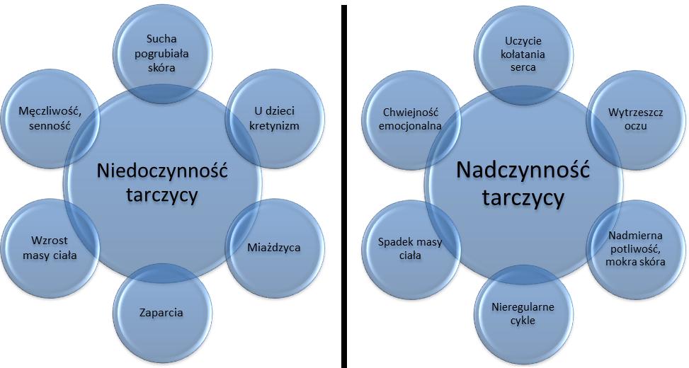 8 Szyszynka Jest niewielkich rozmiarów gruczołem wpływającym na okołodobowe i sezonowe rytmy biologiczne człowieka. Szyszynka stanowi część nadwzgórza i pokryta jest oponą miękką.