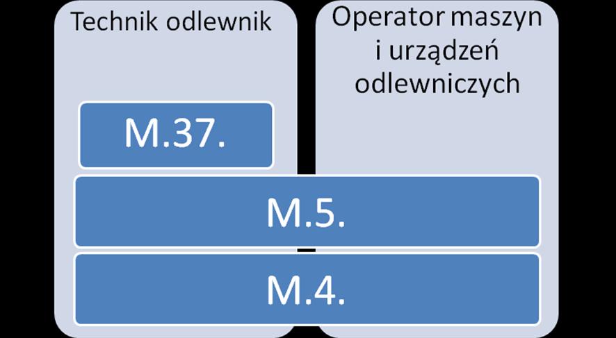 Moduł 2. Informacje o zawodzie Rysunek 1.