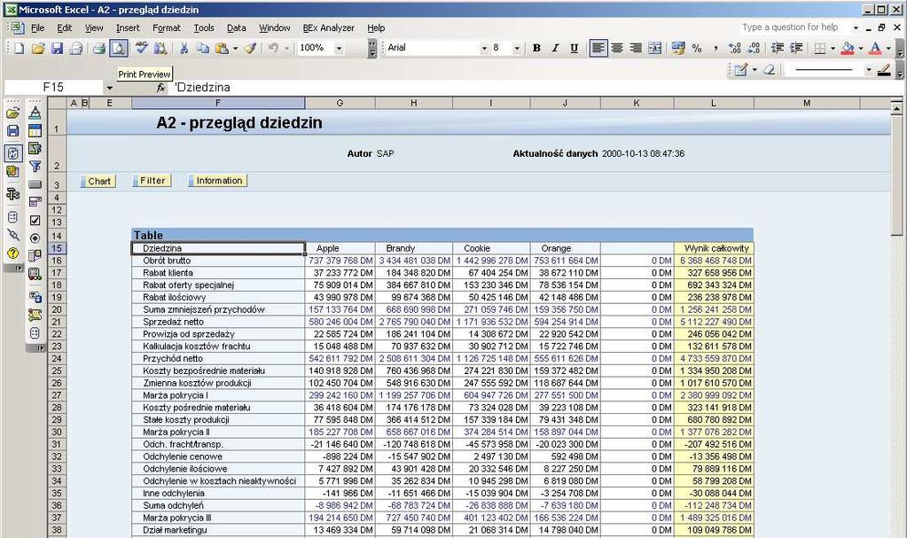 Strona: 4 z 31 6.