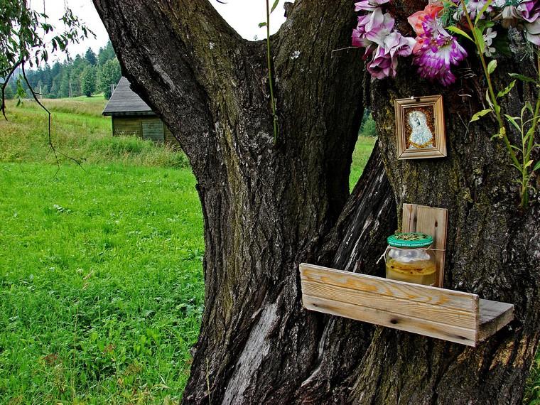 charakterystycznym nadajnikiem. Przez najbliższe 20 minut będziemy podążać w takiej scenerii, klucząc pomiędzy łąkami i polami, następnie zabudowaniami Korbielowa Górnego.