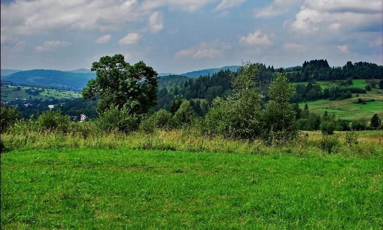 Po prawej widoczne będzie wzniesienie Beskidu. Wciąż nabierając wysokości, przetniemy niewielki lasek, by ponownie wyjść na polanę.
