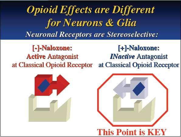 aktywacja gleju w bólu neuropatycznym http://www.anzca.edu.